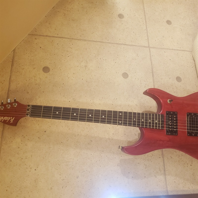 Washburn N2 Padaukの画像